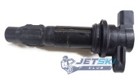 Катушка зажигания Yamaha 1100 6D3-82310-01-00
