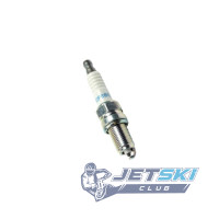Свеча зажигания с колпачком BRP170 Sea-Doo 707000246 DCPR8E/4179/170