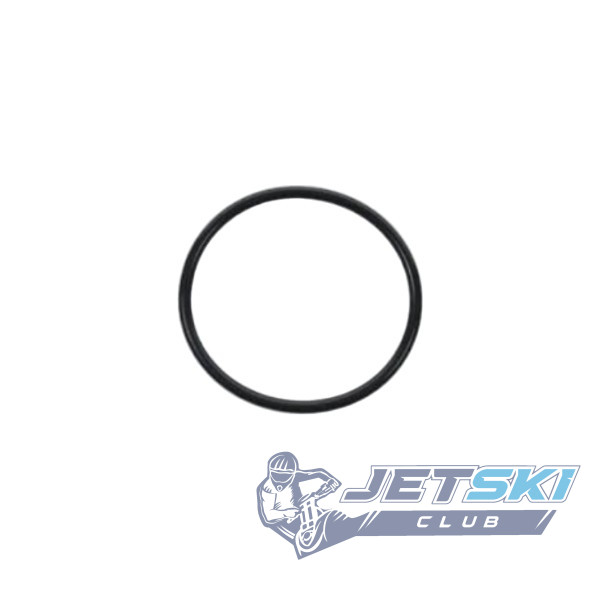 Уплотнительное кольцо  бензобака Kawasaki 670E5090