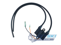 Высоковольтная катушка зажигания Yamaha 2T 62E-85570-00