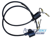 Катушка зажигания Yamaha 6H5-85570-00-00