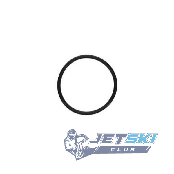 Кольцо уплотнительное SeaSoo Can-Am 420630040`