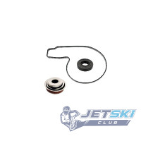 Ремкомплект помпы BRP SeaDoo 420950840/420650310/420650370